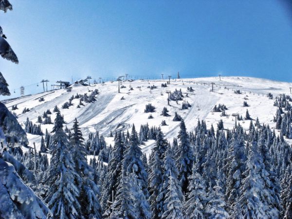 Koipaonik planina - skijanje